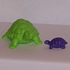 Die Schildkrötenfamilie